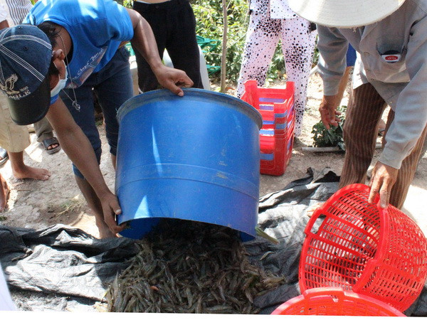 Tìm hướng đi để khai thác hiệu quả tiềm năng thủy sản ảnh 1