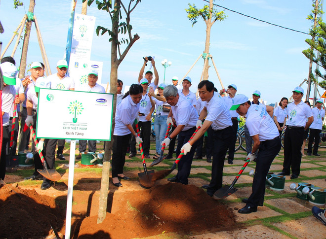 Trồng hơn 110.000 cây xanh chống tình trạng xâm nhập mặn tại Vũng Tàu ảnh 1