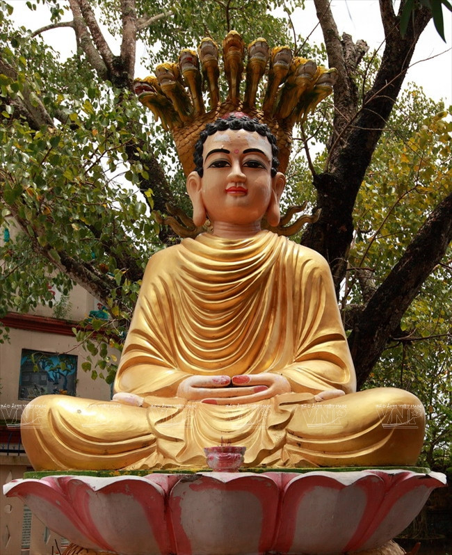 Chùa Phật Tổ - Ngôi chùa cổ kính nhất ở vùng đất Cà Mau ảnh 10