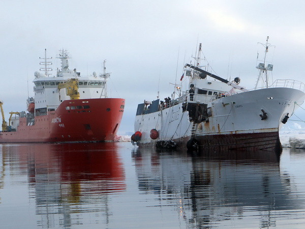 Các công ty Hàn Quốc giúp Nga đóng tàu phá băng chở dầu-khí ảnh 1