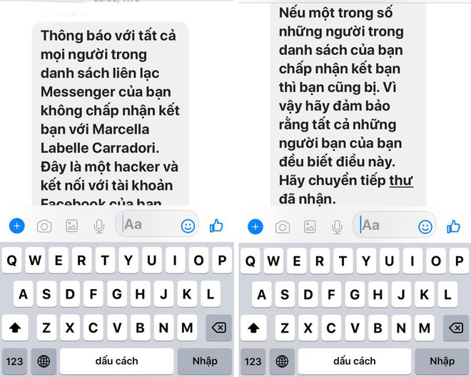 Cảnh giác với tin nhắn ‘cảnh báo hacker’ lan truyền trên Facebook ảnh 1