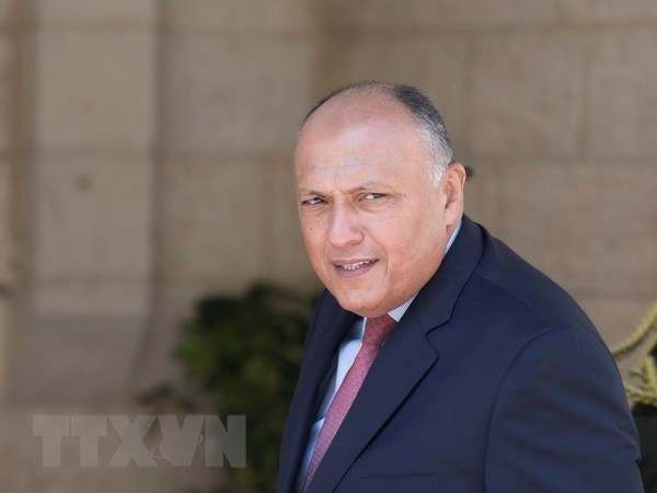 Ai Cập: Syria cần theo đuổi giải pháp chính trị để trở lại AL ảnh 1