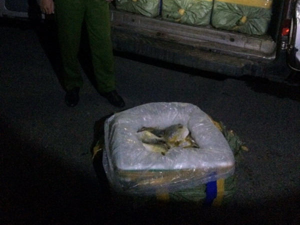 Quảng Ninh: Tiêu hủy hơn 3,5 tấn cá không có giấy tờ nguồn gốc ảnh 1