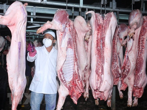 Giám sát cơ sở giết mổ, đảm bảo vệ sinh thực phẩm ở Hà Nội ảnh 1