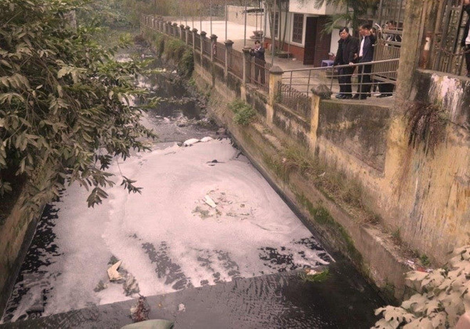 'Ngành dệt may phản ứng rất thụ động trong công tác quản lý hóa chất' ảnh 2