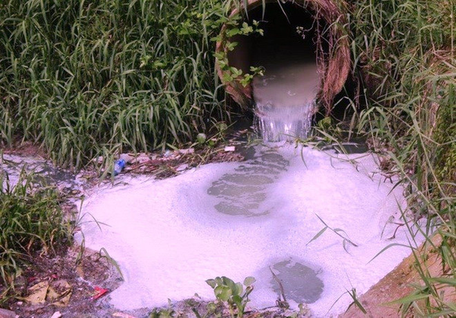 'Ngành dệt may phản ứng rất thụ động trong công tác quản lý hóa chất' ảnh 1