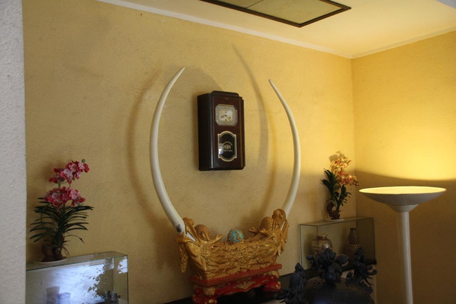 Mua bán ngà voi dễ dàng nhưng bắt giữ, ngăn chặn lại khó khăn ảnh 2