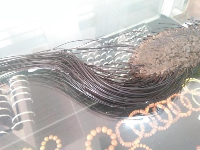 Mua bán ngà voi dễ dàng nhưng bắt giữ, ngăn chặn lại khó khăn ảnh 3