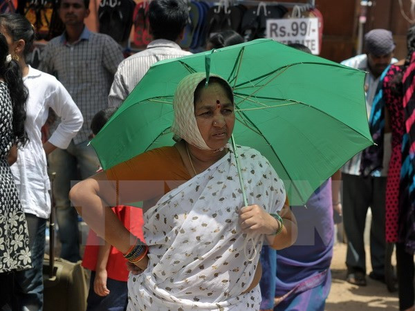 Nắng nóng kinh hoàng tại Ấn Độ đã khiến hơn 2000 người chết ảnh 1