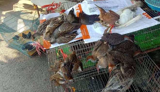 Đặc vụ xóa sổ 'địa ngục chim trời': Cuộc chiến không khoan nhượng ảnh 3