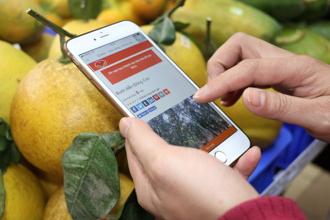 Các nhà cung cấp nước ngoài nộp thuế 3.405 tỷ đồng trong 7 tháng ảnh 1