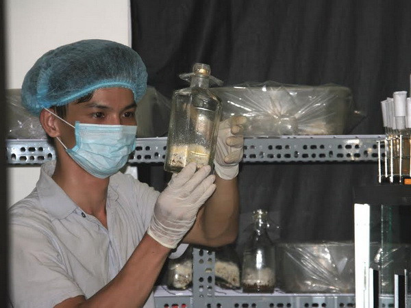 Ước mơ “nấm Ta” của chàng trai 9X và lời đề nghị bạc tỷ ảnh 2