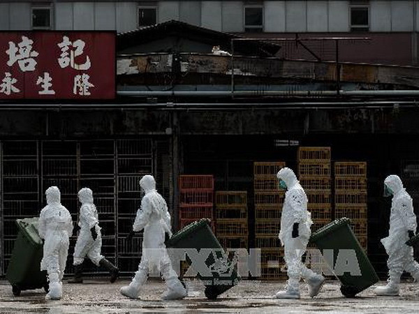 Hong Kong cấm nhập sản phẩm gia cầm từ Hà Lan ảnh 1