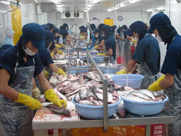 Sẽ có Trung tâm phân phối cá tra tại thị trường EU ảnh 1