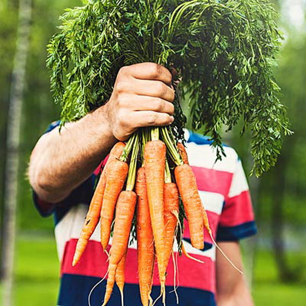 Những loại thực phẩm cực tốt giúp đôi mắt của bạn khỏe mạnh ảnh 5