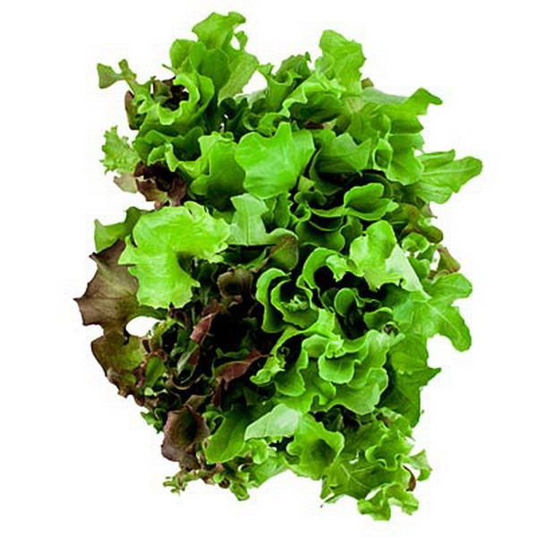 Những loại thực phẩm cực tốt giúp đôi mắt của bạn khỏe mạnh ảnh 3