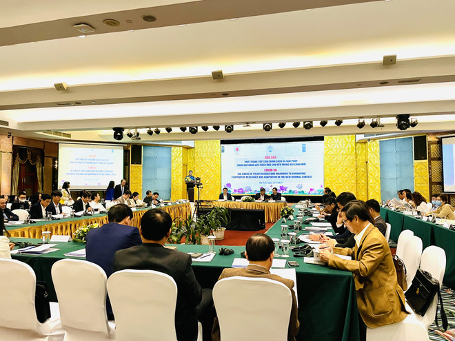 Hợp tác xã bị hạn chế khi tiếp cận chính sách đối phó COVID-19 ảnh 1