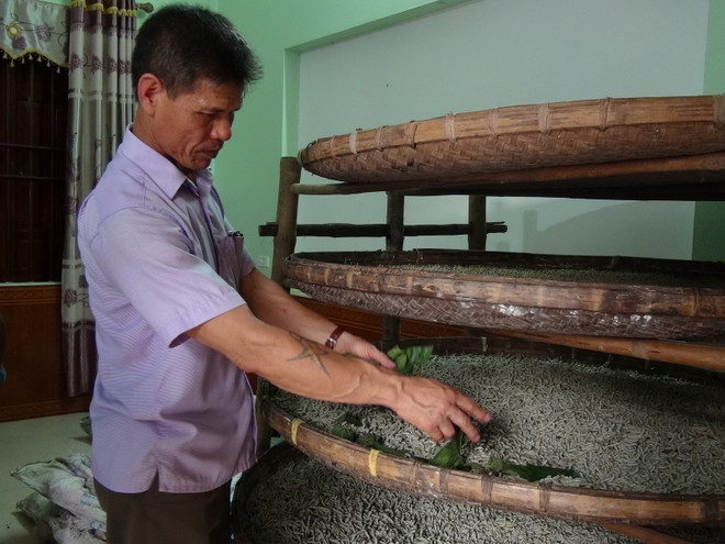 Nguy cơ thất truyền một làng nghề tơ tằm hơn nghìn năm tuổi ảnh 2