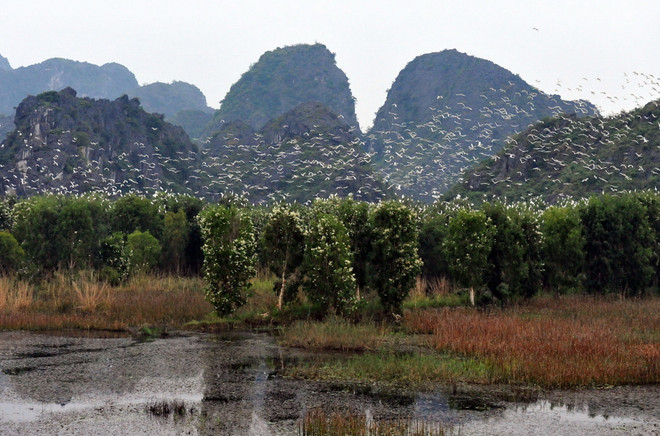 Tìm giải pháp quản lý hiệu quả và bền vững tài nguyên thiên nhiên ảnh 1