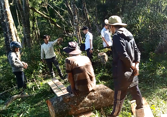 Chưa có sự đồng lòng về cách tiếp cận trong chia sẻ lợi ích từ rừng ảnh 1