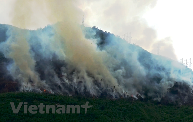 Việt Nam đã đạt được cột mốc quan trọng trong chính sách khí hậu ảnh 1