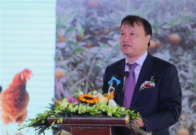 Dịch COVID-19: Xây dựng kịch bản tổng thể trong trường hợp xấu nhất ảnh 1