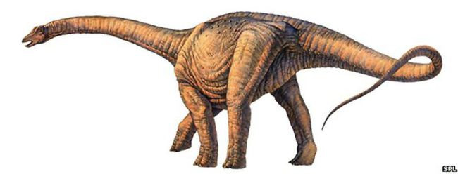 Loài khủng long bí ẩn có thể có họ với loài Argentinosaurus. (Nguồn: SPL) Phát hiện hóa thạch loài khủng long lớn nhất từ trước tới nay ảnh 1