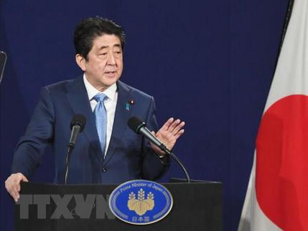 Bài toán khó dành cho Thủ tướng Nhật Bản Shinzo Abe ảnh 1