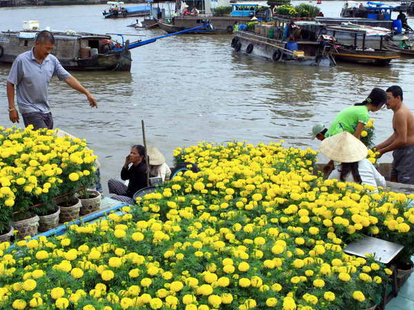 Chợ nổi Cái Răng - một trong những điểm du lịch hấp dẫn du khách tại Cần Thơ. (Nguồn: TTXVN) Cần Thơ chú trọng quảng bá du lịch bằng trực quan sinh động ảnh 1