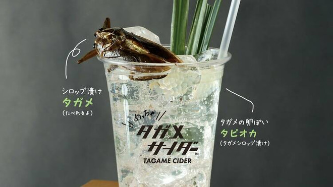 Đồ uống với côn trùng tại Nhật Bản. (Nguồn: TimeOut) Sashimi tằm, mỳ cá sấu - những món ăn kỳ quặc trên thế giới ảnh 1