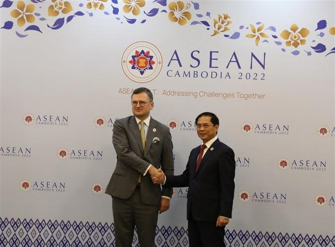 Việt Nam chúc mừng Ukraine tham gia hiệp ước Thân thiện Hợp tác ASEAN ảnh 1