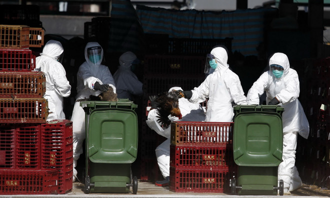 Trung Quốc ghi nhận thêm 1 ca tử vong do nhiễm virus cúm H7N9 ảnh 1