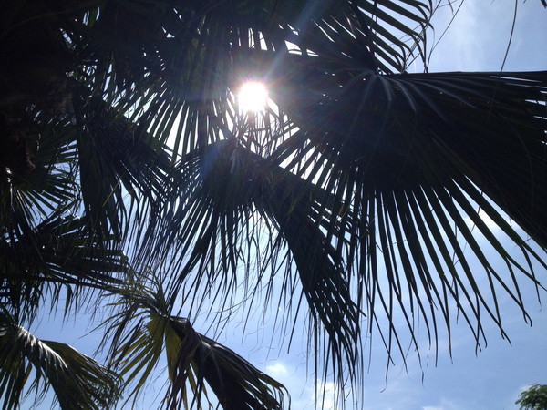 Nền nhiệt tăng nhanh, Bắc Bộ và Bắc Trung Bộ trời hanh khô ảnh 1