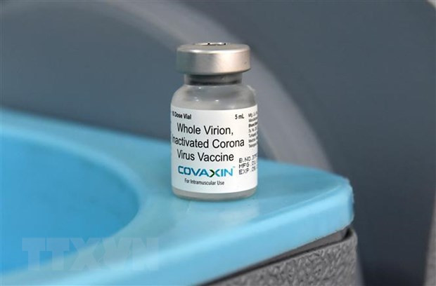 Vaccine Covaxin, Covishield tạo ít kháng thể hơn với biến thể B.1.617 ảnh 1