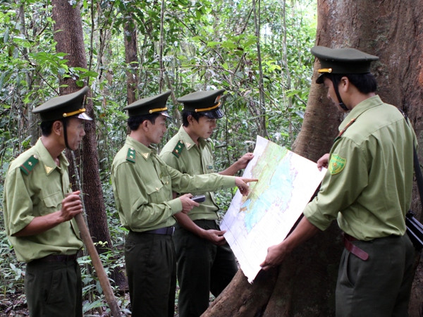 Đổi mới nông-lâm trường: Người dân vẫn “khát” đất ảnh 2