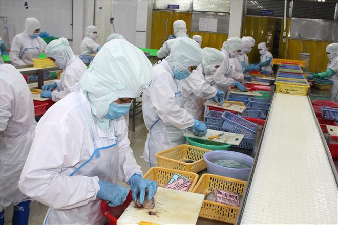 Khắc phục "thẻ vàng" IUU - Gỡ vướng xác nhận nguồn gốc nguyên liệu ảnh 2