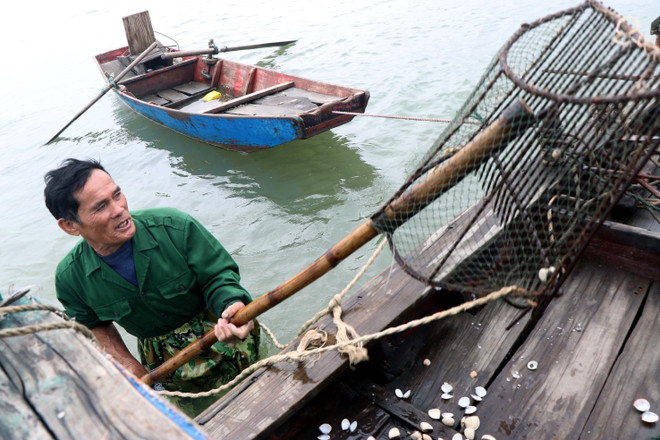 Hà Tĩnh: Làm rõ nguyên nhân ngao, hàu chết hàng loạt ở các địa phương ảnh 1