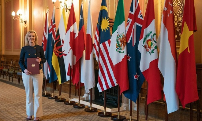 Cơ hội "cùng thắng" giữa các nước thành viên CPTPP và Anh ảnh 1