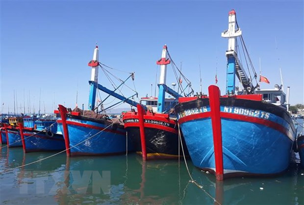 Tàu đánh bắt xa bờ neo đậu tại cảng cá Ninh Chữ (huyện Ninh Hải, Ninh Thuận). (Ảnh: Nguyễn Thành/TTXVN) Quý 4 sẽ hoàn thiện thể chế quản lý nghề cá theo khuyến nghị của EC ảnh 1