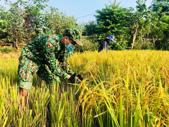 Lính biên phòng bảo vệ vùng biên: Đồn là nhà, biên giới là quê hương ảnh 3