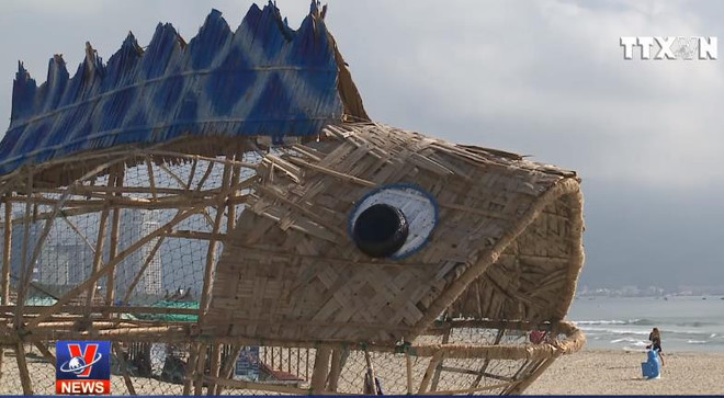 [Video] Cá bống khổng lồ 'ăn' rác nhựa trên bãi biển Đà Nẵng ảnh 1