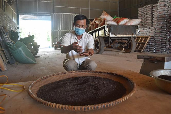 Việt Nam hiện vẫn là quốc gia sản xuất và xuất khẩu hồ tiêu lớn nhất ảnh 2