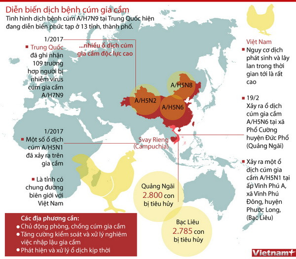Nguy cơ virus cúm H7N9 xâm nhập và các cách phòng chống bệnh ảnh 2