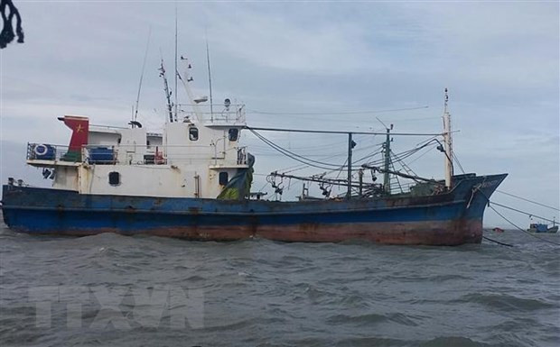 Tổng cục Thủy sản: Bảo hiểm tàu cá vẫn thực hiện theo Nghị định 67 ảnh 1