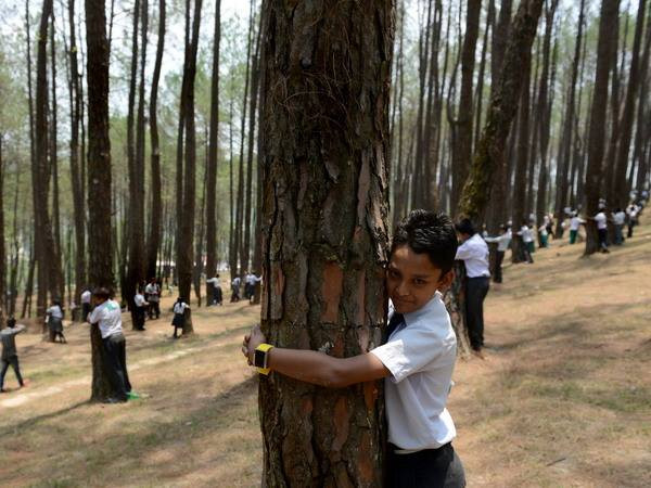 Hơn 2.000 người dân Nepal ôm cây bảo vệ môi trường ảnh 2