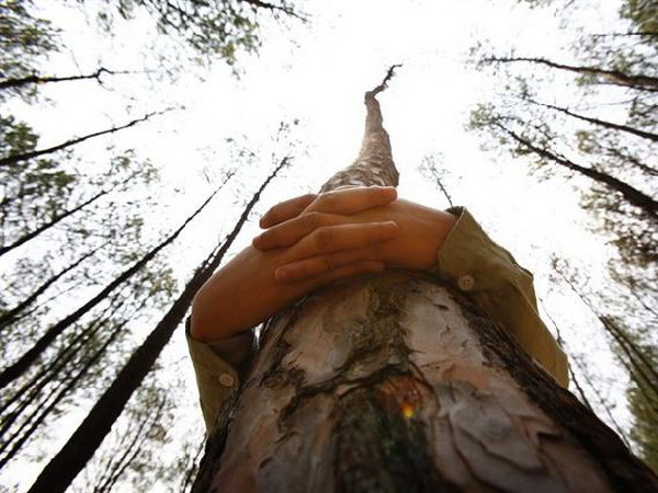 Hơn 2.000 người dân Nepal ôm cây bảo vệ môi trường ảnh 1