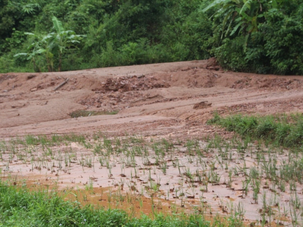 "Lời nguyền tài nguyên": Ở đâu có mỏ, nơi đó dân còn đói nghèo ảnh 2