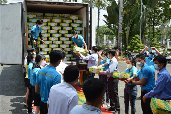 Đồng Tháp công bố xuất khẩu lô xoài đầu năm sang thị trường châu Âu ảnh 2