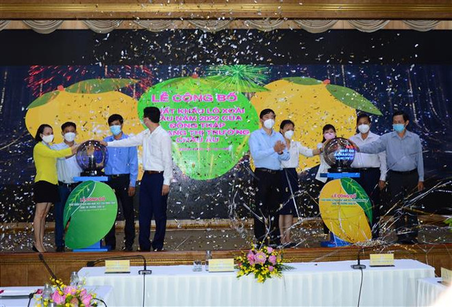 Đồng Tháp công bố xuất khẩu lô xoài đầu năm sang thị trường châu Âu ảnh 1