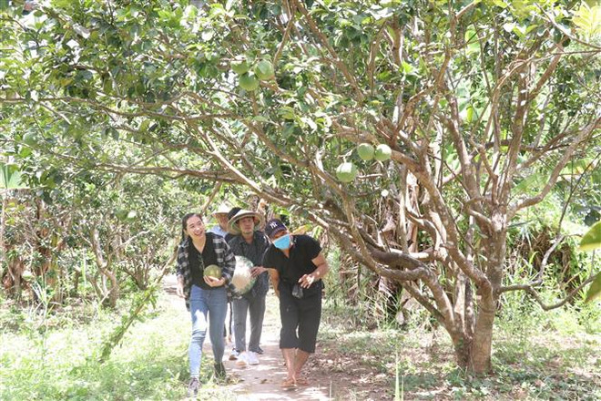 'Ba đảo dừa xanh' - Phát triển du lịch gắn với tài nguyên bản địa ảnh 1